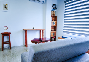 Elegant and cozy living room with a comfortable sofa, stylish decor, and ample natural light.