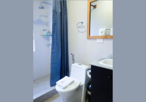 Stylish and modern full bathroom with premium amenities.